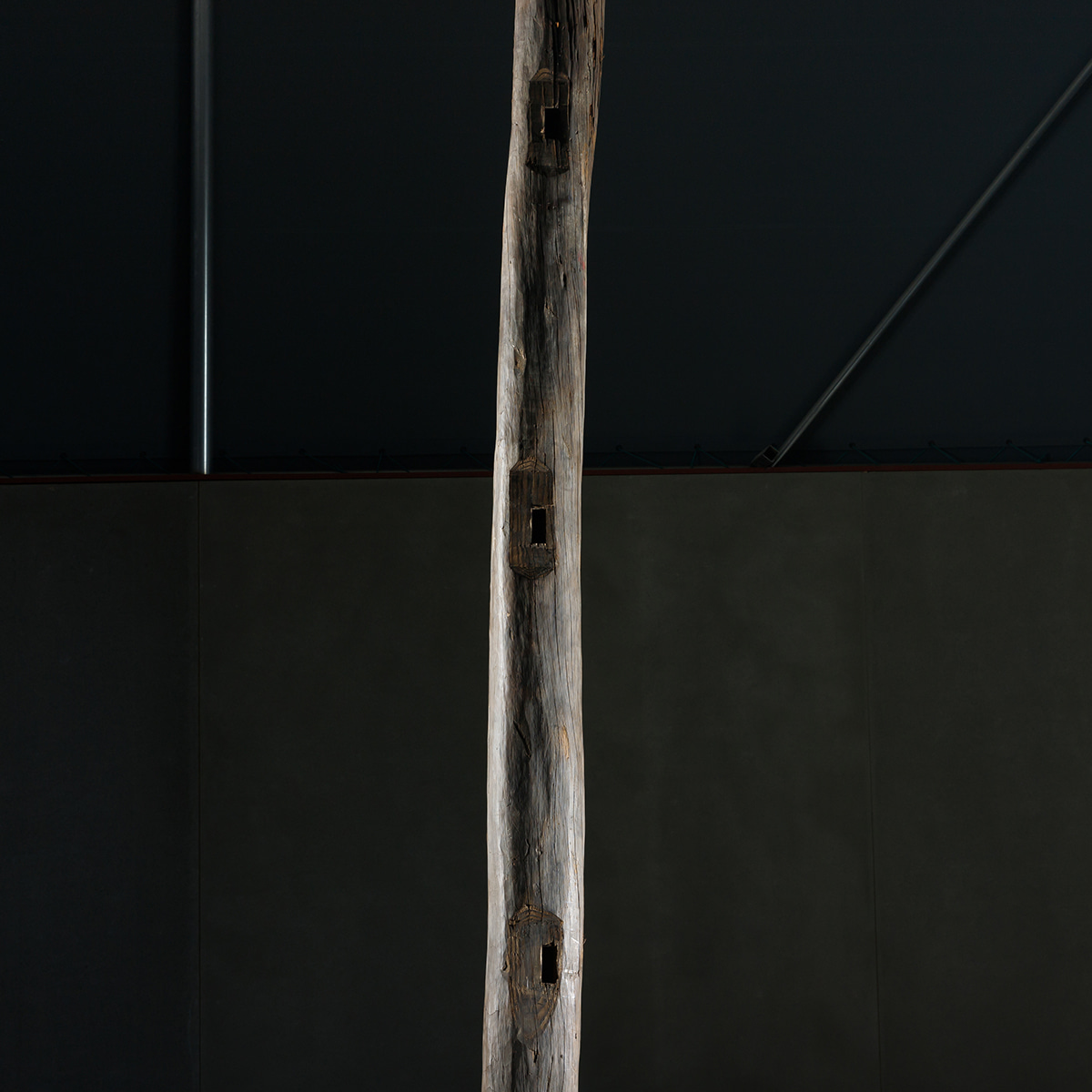 원형 사찰기둥목